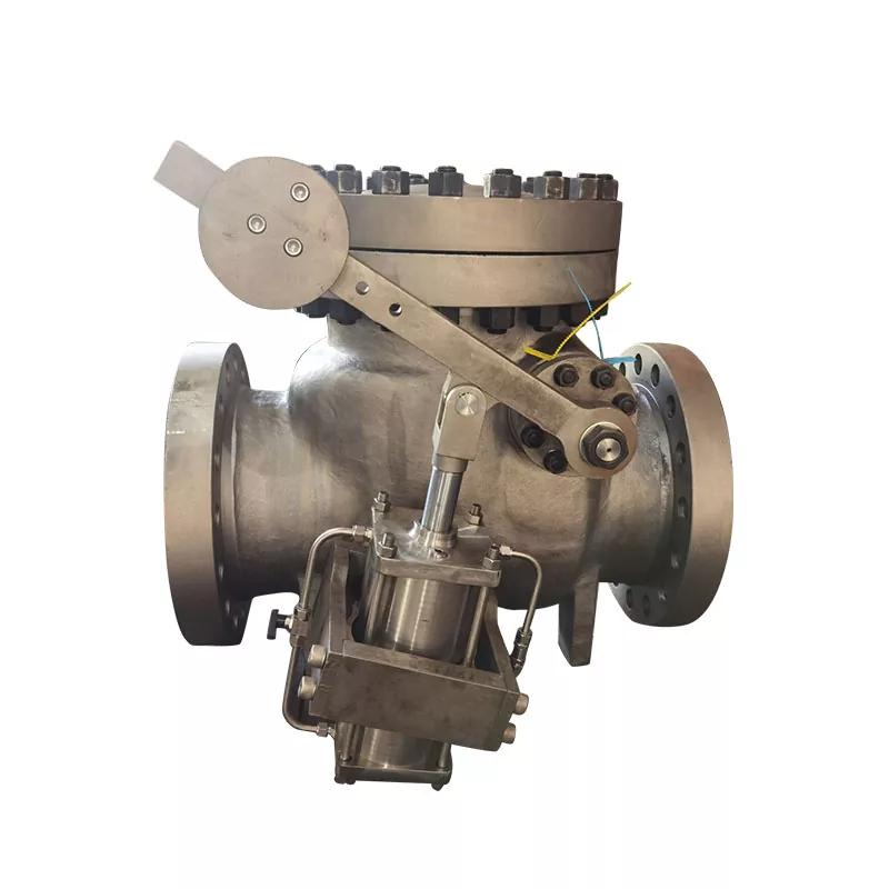 High Pressure Check Valves